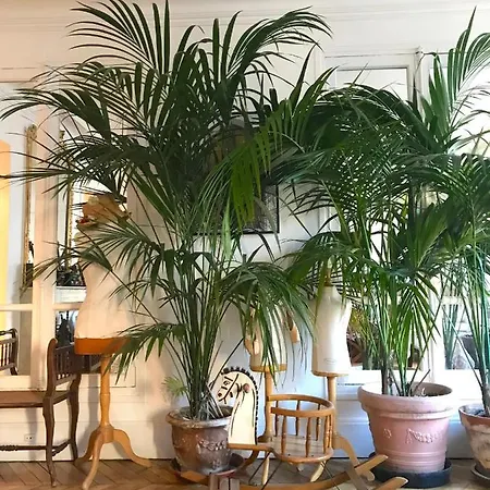 Romantic 75m2 فندق مبيت وإفطار